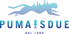 Pumais Due official partner logo